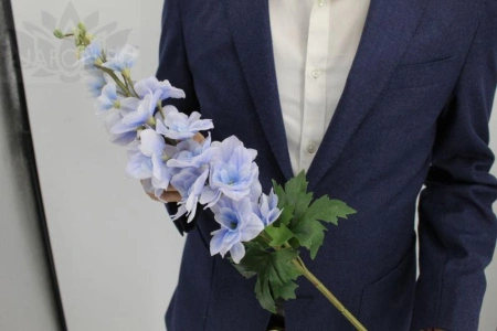 427962d1-5a6b-11f0-891b-246e9611e8f7-1