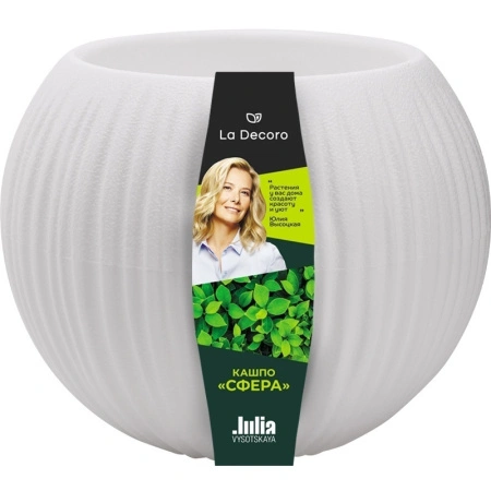 5547a69b-daeb-11ef-8915-246e9611e8f5-1