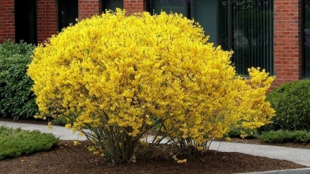 be64a212-c0a3-11ec-9a28-005056c00008-1