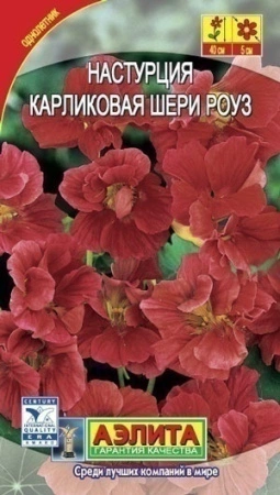 8949fa39-dcea-11dd-9138-00500454e615-2