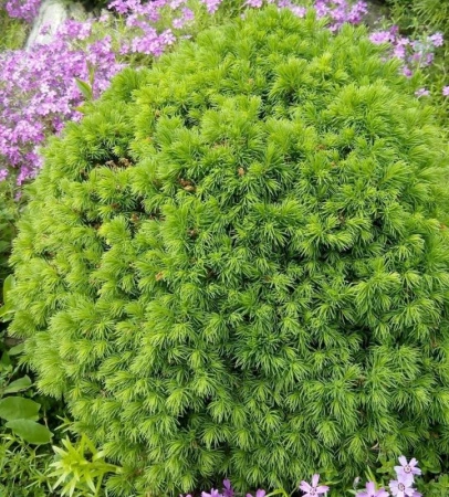 080b8da3-bec7-11ef-8914-246e9611e8f5-1