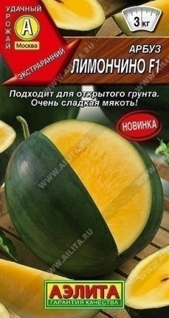 c60966d3-f824-11ea-b984-005056c00008-2