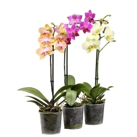 ecb47c8f-7e10-11ee-ae0a-001e673ebdea-1