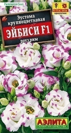 008a7cff-f8c9-11ea-b984-005056c00008-2