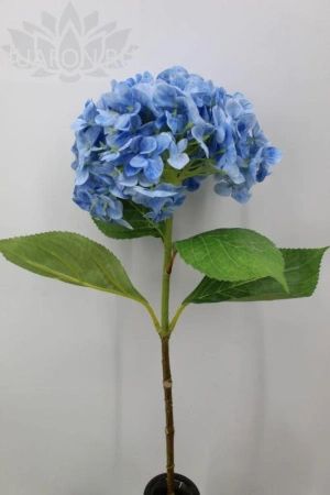 f54416a2-5a6b-11f0-891b-246e9611e8f7-1