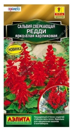 1be87fe0-f81c-11ea-b984-005056c00008-1