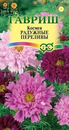 9d8dbed1-c615-11de-87ad-0019dbe91ea3-1