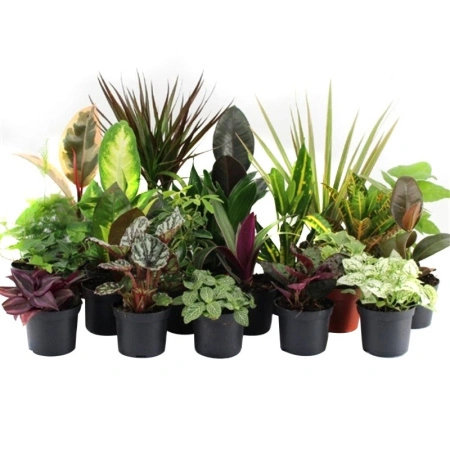 17e547cd-93dc-11ec-8510-005056c00008-1