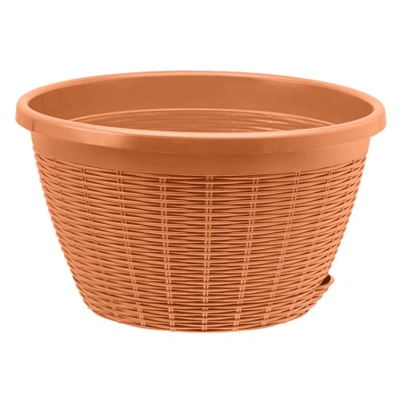 558b6d2a-db23-11ef-8915-246e9611e8f5-1