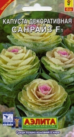 7757a621-dcea-11dd-9138-00500454e615-2