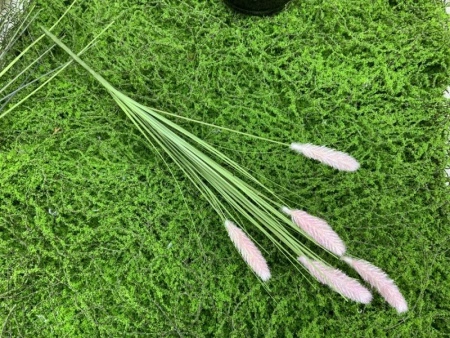 559c2156-5a4f-11f0-891b-246e9611e8f7-1