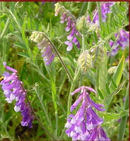 61e97cfe-e453-11e6-bb6f-001e673ebdea-1