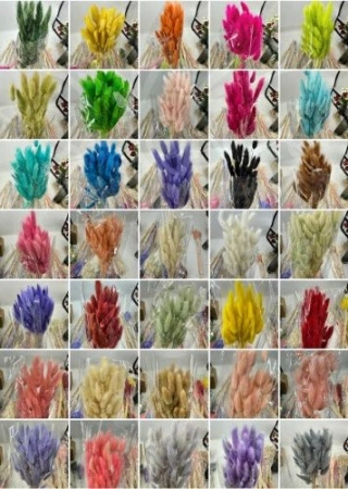 8a130539-9cfe-11ef-8912-246e9611e8f7-1