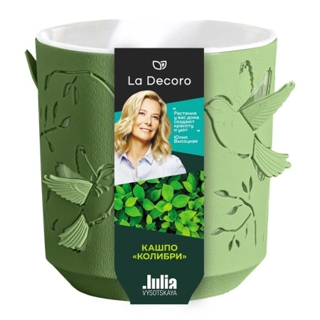 cb8c49f8-da3c-11ef-8915-246e9611e8f5-1