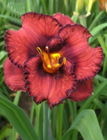 037fa44e-000e-11f0-8915-246e9611e8f5-1