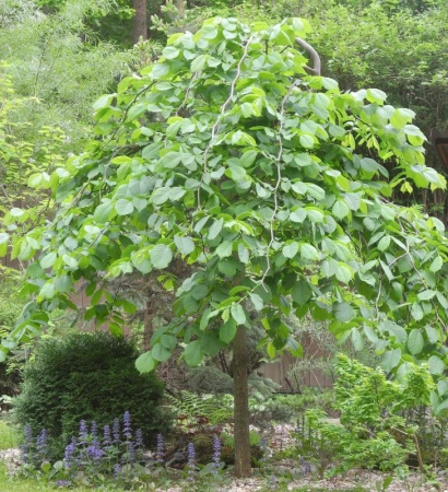 f81a0db3-1532-11f0-8918-246e9611e8f6-1