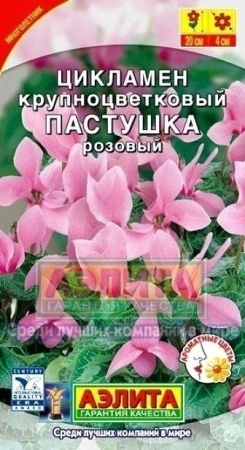 7972014c-4806-11e1-82d8-00500454e615-2