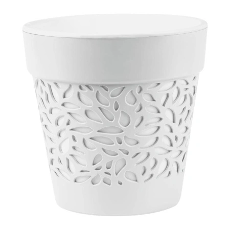 5b5c14db-da2d-11ef-8915-246e9611e8f5-1