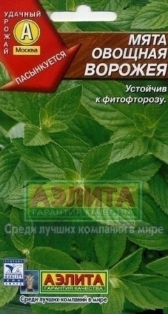 8949f9c9-dcea-11dd-9138-00500454e615-2