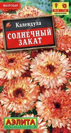 8c1d4d1c-0ab5-11e2-9c64-00500454e615-1