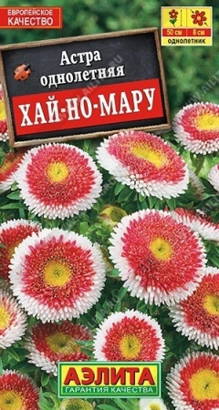 6a97b398-dcea-11dd-9138-00500454e615-1