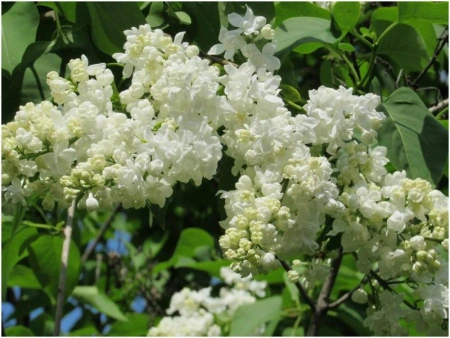 44c9fbe6-2f8f-11ef-890e-246e9611e8f7-1