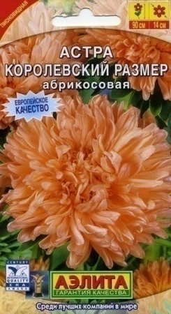 6463d856-dcea-11dd-9138-00500454e615-2