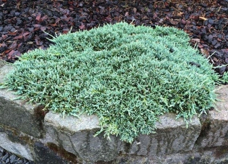 b7fd082d-2bce-11f0-8918-246e9611e8f6-1