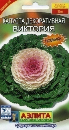 70f41ca7-dcea-11dd-9138-00500454e615-2