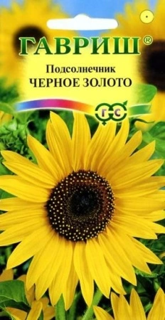 21433da9-c797-11de-87ae-0019dbe91ea3-2