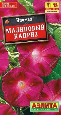 7757a7bc-dcea-11dd-9138-00500454e615-1