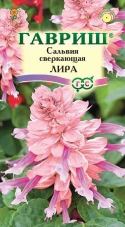 41116731-7995-11e1-9ad6-00500454e615-2