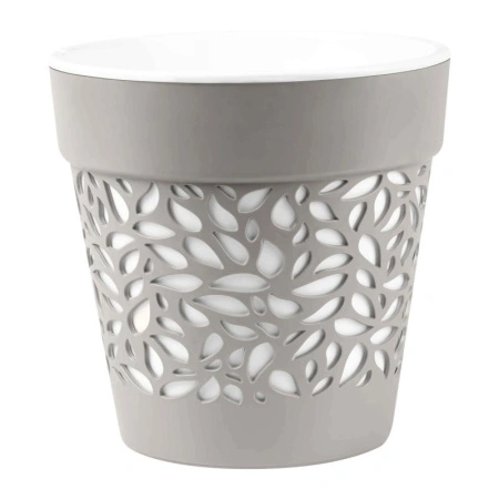 77139d25-da31-11ef-8915-246e9611e8f5-1