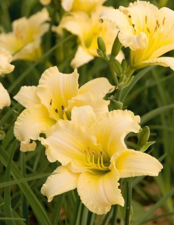 609e6937-0010-11f0-8915-246e9611e8f5-1