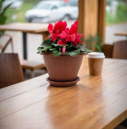 73edd0f9-574d-11ed-aea3-001e673ebdea-1