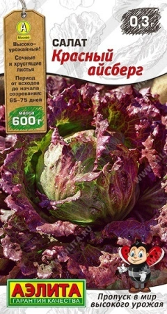 5606cde4-0a83-11ec-a8a4-005056c00008-1