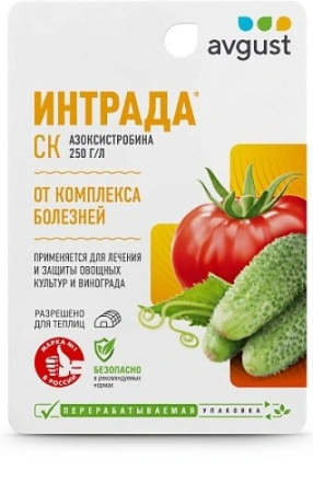 b04b2118-c429-11f0-891d-246e9611e8f7-2