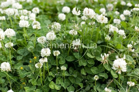 6e79e0fb-0acb-11e2-9c64-00500454e615-2