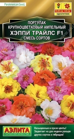 55b71c18-0e23-11ec-a8a4-005056c00008-1