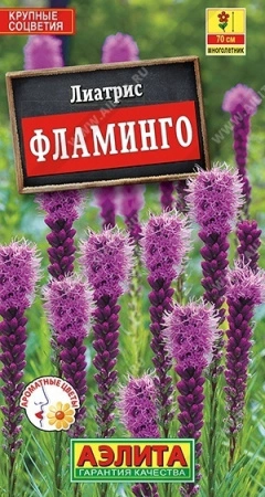 0554bf2f-45ee-11e2-bff7-00500454e615-1