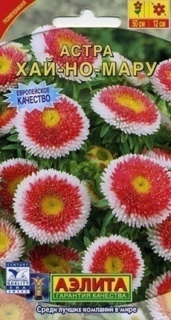 6a97b398-dcea-11dd-9138-00500454e615-2