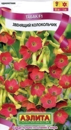 7961a77e-ef00-11de-87df-0019dbe91ea3-2