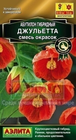 cc8c132a-4cee-11e3-98e1-00500454e615-2