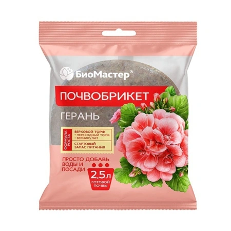 a15d7969-bdfd-11ef-8914-246e9611e8f5-1