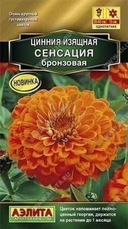 4ea73107-f81e-11ea-b984-005056c00008-2