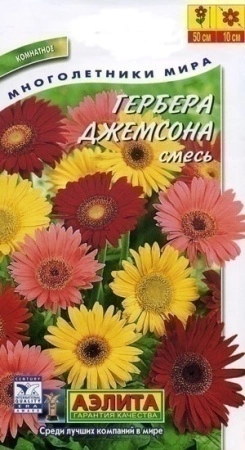 70f41b33-dcea-11dd-9138-00500454e615-2