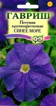 954d9338-dcea-11dd-9138-00500454e615-1