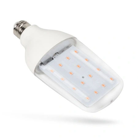 a651788a-acd3-11ed-8508-001e673ebdea-2