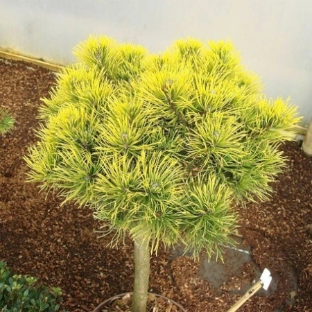 3bfe5f41-c2a5-11ef-8915-246e9611e8f5-1