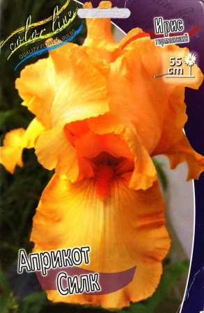 1165ad69-45ca-11f0-8919-246e9611e8f7-1